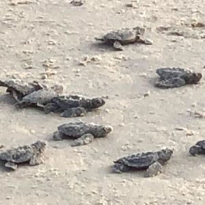 Meet your Posher, Cynthia